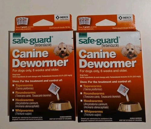 Boxes safe guard small - safe,