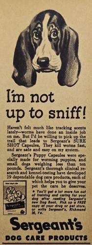 1947 sergeant puppy - puppy, capsules