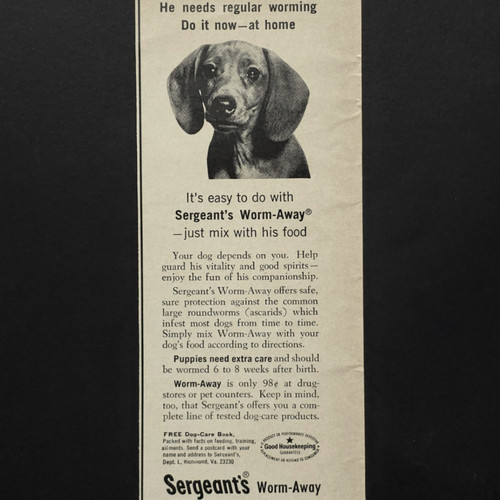 Sergeants worm away dog - sergeants,