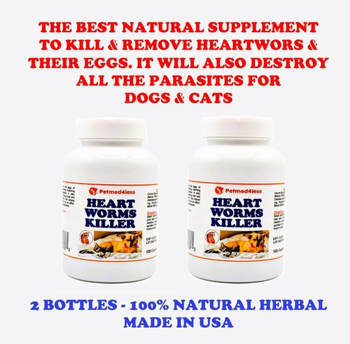 Dogs cats people - dogs,