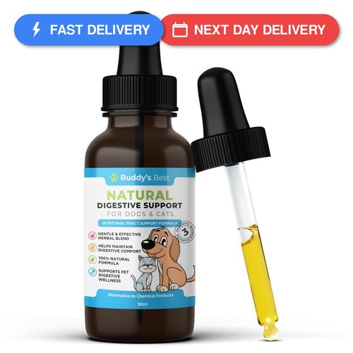 Wormwood digestive intestinal - wormwood,