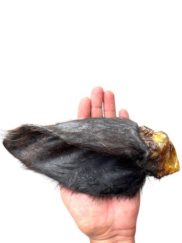 Large buffalo meaty hairy - large,