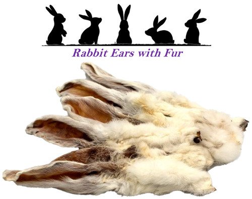 100 natural rabbit - ears, +